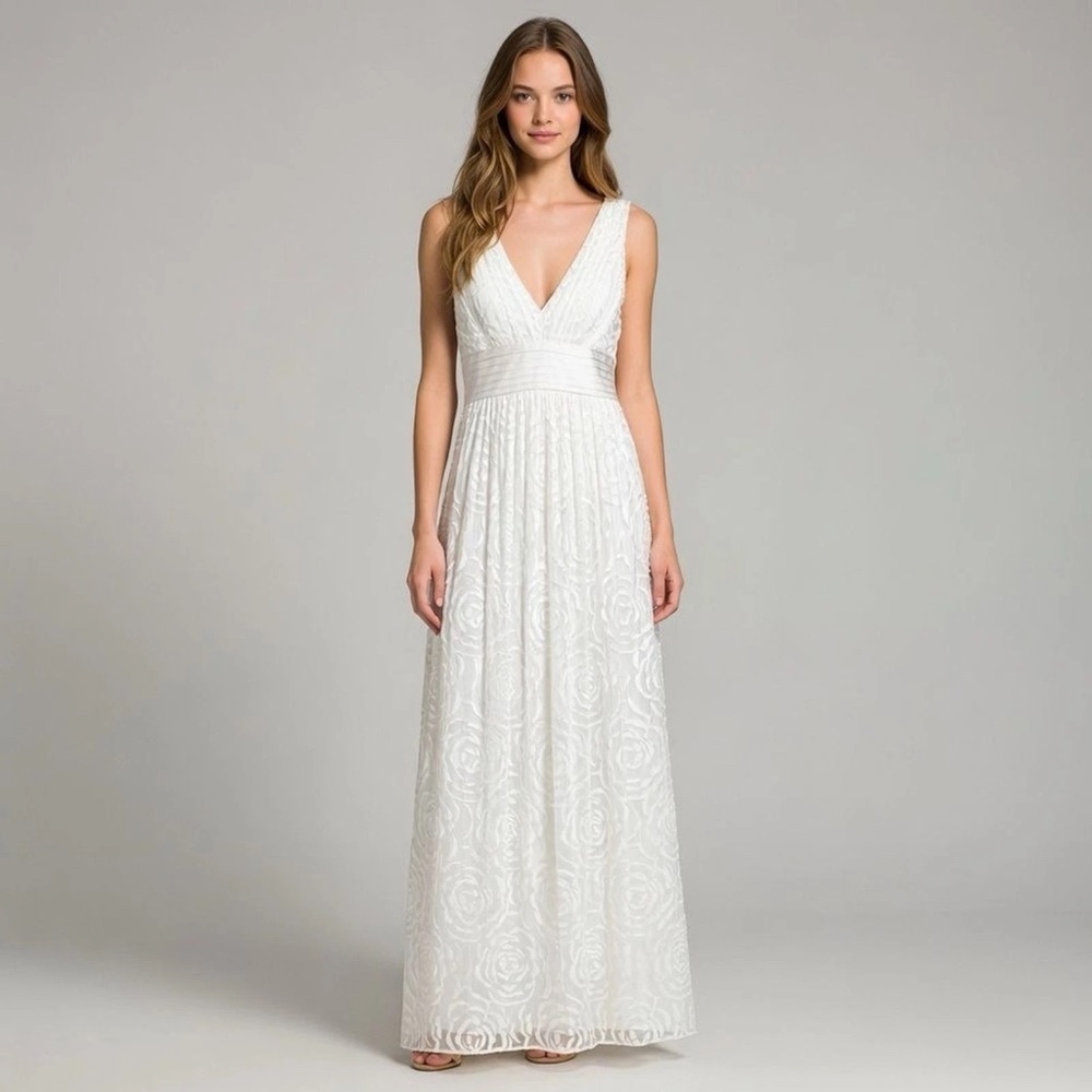 NWT Dreamy Silk Dress BCBGMaxAzria